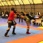 Kickbox finalni turnir DP 2012 Brežice